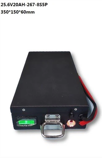 25.6V 20Ah LiFePo4 Batteria