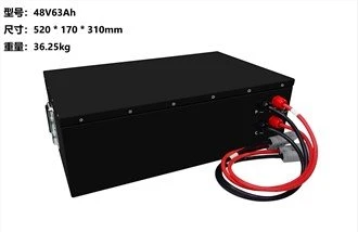 48V 63Ah Golf Cart LiFePo4 Batteria
